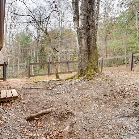 Peaceful Warne Cabin Fenced Yard And Screened Porch Brasstown 外观 照片
