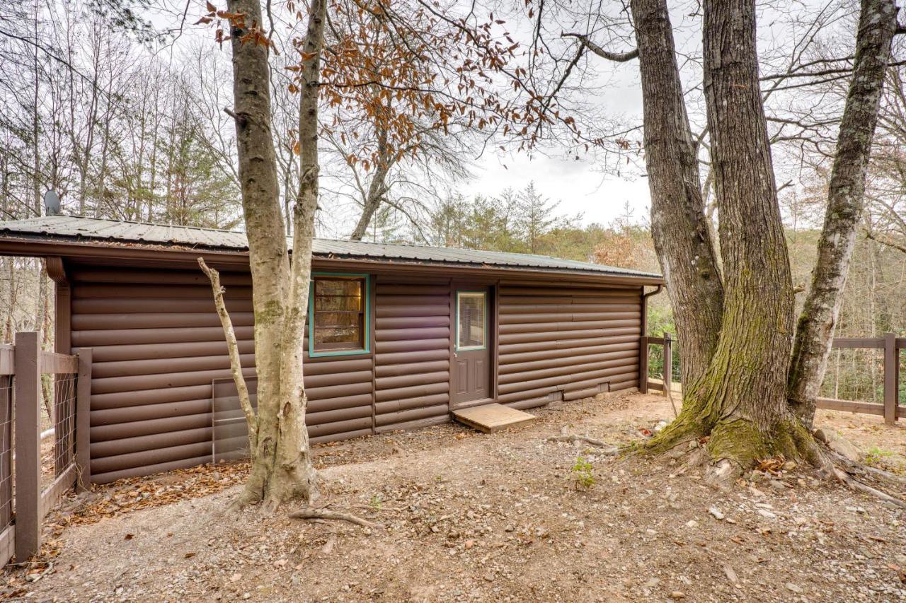 Peaceful Warne Cabin Fenced Yard And Screened Porch Brasstown 外观 照片