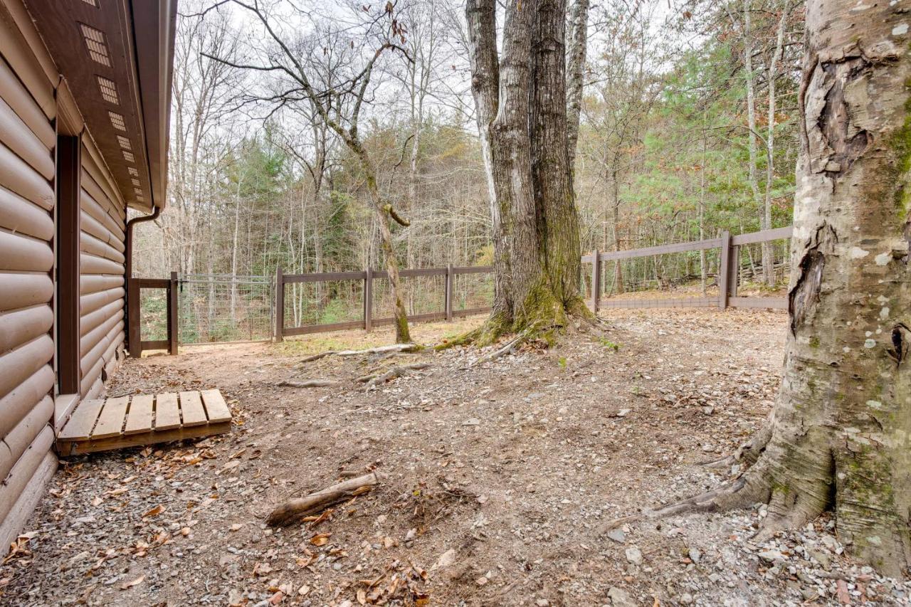 Peaceful Warne Cabin Fenced Yard And Screened Porch Brasstown 外观 照片
